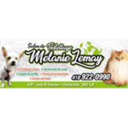 Toilettage Melanie Lemay
