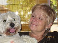 Stress Free Dog Grooming by Wendy Cakebread
