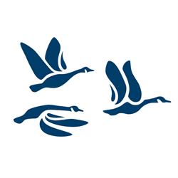 Réseau canadien de DÉC - Canadian CED Network
