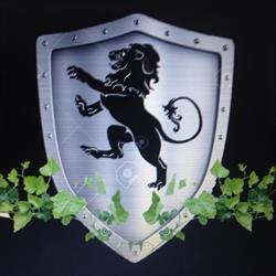 Black Lion Landscaping