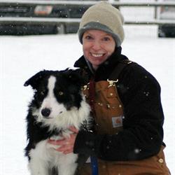 Jlmbordercollies