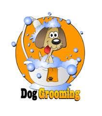 Grooming by Danielle