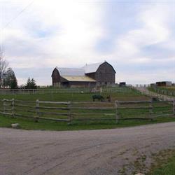 Barn View Stables