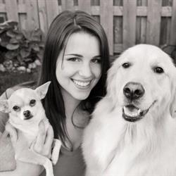 Canine Coiffur