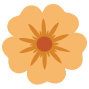 Bloom Family Child Care