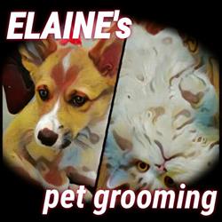 Elaine's Pet Grooming