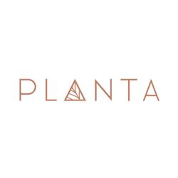 PLANTA Queen