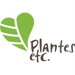 Plantes etc.