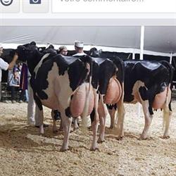 Ferme Montherri lnc