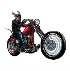 Unleashed Cycle & Sled
