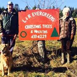 L and R Evergreens
