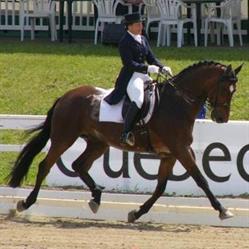 Marie-Josee Delisle, 3rd Level Dressage Coach