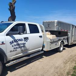 Second Go Livestock Hauling