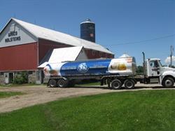 Wrico Holsteins