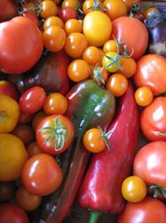 Abundant Acre Family Farm