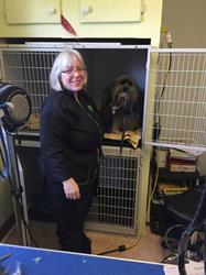 All Breed Pet Grooming by Alfreda