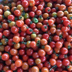 Au Potager des affamés