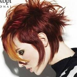 Head Rush Hair Design
