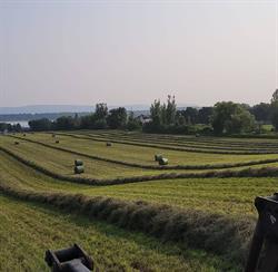 Ferme biologique Bouveret