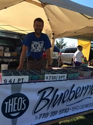 Theo's Blueberries