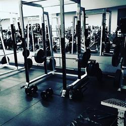 Bodywise