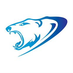 UMSAE Polar Bear Racing
