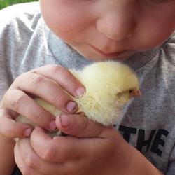 Puddleduck Farm