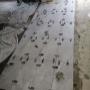 Photo Photo