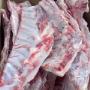 Raw Meaty bones are considered Mother Nature's Toothbrush! Raw Meaty bones are considered Mother Nature's Toothbrush!
