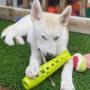 Pet Enrichment Pet Enrichment