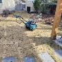 Lawn aeration one of my customers yards Lawn aeration one of my customers yards
