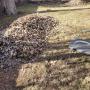 Leaf cleanup in the fall season we offer please call gor pricing Leaf cleanup in the fall season we offer please call gor pricing