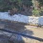 Snow Shovelling sidewalk contact us for more details Snow Shovelling sidewalk contact us for more details