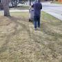 Lawn vacuuming in Spring to get ready for summer Lawn vacuuming in Spring to get ready for summer