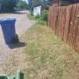 We clean up and maintain back alleys as well when doing weekly lawn cuttings We clean up and maintain back alleys as well when doing weekly lawn cuttings