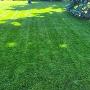 Fertilizing and Weekly lawn cutting jobs and we offer bi weekly and one time Lawn mowing please call for pricing Fertilizing and Weekly lawn cutting jobs and we offer bi weekly and one time Lawn mowing please call for pricing