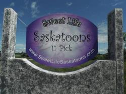 Sweet Life Saskatoons U-Pick