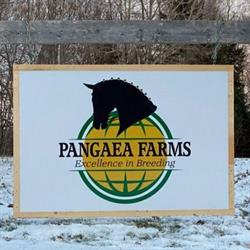 Pangaea Farms