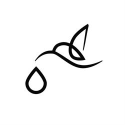 Colibri Tattoo and Piercing (High Park)