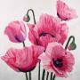 \Adoration\ Brilliant Pink Poppies by Canadian Artist Carolynn Ashley. Canvas prints available in three sizes available: 24 x 24 in, 30 x 30 in or 36 x 36 in. Limited edition of 250. \Adoration\ Brilliant Pink Poppies by Canadian Artist Carolynn Ashley. Canvas prints available in three sizes available: 24 x 24 in, 30 x 30 in or 36 x 36 in. Limited edition of 250.