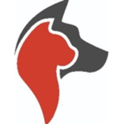 Head To Tail Pet Rehabilitation