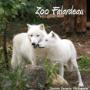 Photo Photo