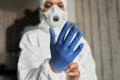 Mold Remediation