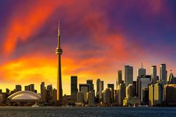 Pestica Pest Control Toronto