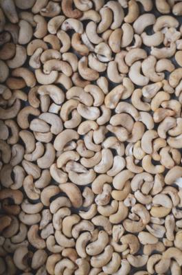 cashew