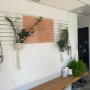 Solluna Collective Naturopathic Medicine Clinic with Dr. Melanie Garrett, ND Fort McMurray Naturopathic Doctor/Holistic Practitioner Solluna Collective Naturopathic Medicine Clinic with Dr. Melanie Garrett, ND Fort McMurray Naturopathic Doctor/Holistic Practitioner