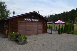 Wolfe Pack Dog Daycare