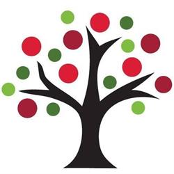 Thrive Live Blood Microscopy