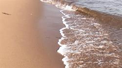 North Shore Psychological Services