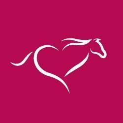 Equinity Coaching Life & Leadership Development with Horses